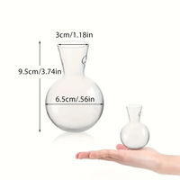 Vase suspendu en plastique transparent pour plante Pothos hydroponique, décoration murale pour jardinage domestique, style pastoral