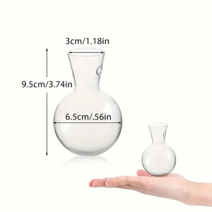 Vaso Trasparente <span class=keywords><strong>da</strong></span> Parete per Piante Idroponiche Pothos, Decorazione per Giardinaggio Domestico, Stile Pastorale - Product Image 5