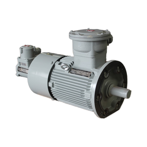 Nanyang nổ bằng chứng biến tần số AC động cơ, cấp công nghiệp VFD động cơ cho các khu vực nguy hiểm 180m - Product Image 1