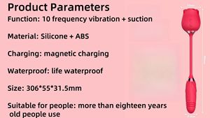 10 titreşim sokmak gül vibratörler USB Powered Clit emme meme stimülatörü Clit enayi seks oyuncakları kadınlar için - Product Image 5