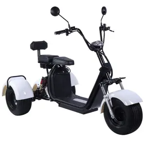 Scooter Điện 3 Bánh Xe Điện Xe Tay Ga Thành Phố Coco 800W 1000W Seev Citycoco 2000W Điện Xe Tay Ga Với Xe Đạp Chất Béo Lốp