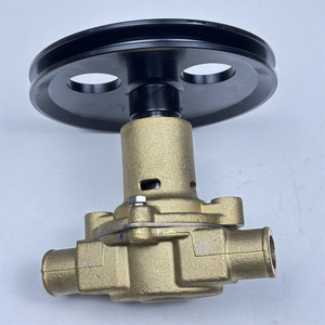 Nouvelle pompe à eau de mer brute RA057007 18830-0010 pour Marine 5.0 5.8 351 302 G20 G21 302 351 Haute Qualité - Product Image 2