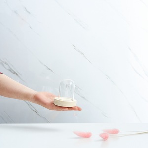 Conception de fleur éternelle de couvercle en verre <span class=keywords><strong>soufflé</strong></span> Transparent personnalisable d'approvisionnement direct d'usine <span class=keywords><strong>pour</strong></span> le <span class=keywords><strong>moule</strong></span> de main de boîte d'affichage/poussière/poussière - Product Image 6