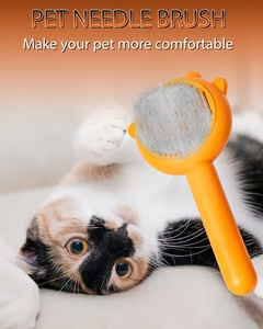 Factory Wholesale <b>Pet</b> Water Spray Brush Soft Dog Hair Steamy Comb Cat Steam Brush for Cat Massage <b>Bathing</b> and <b>Cleaning</b> - Product Image 2