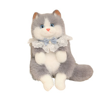 Tendance 2027 – Grands modèles 45cm 55cm – Chat en peluche Ragdoll en gros – Chatons en peluche en gros – Fabricant d'animaux en peluche personnalisés à partir d'une photo