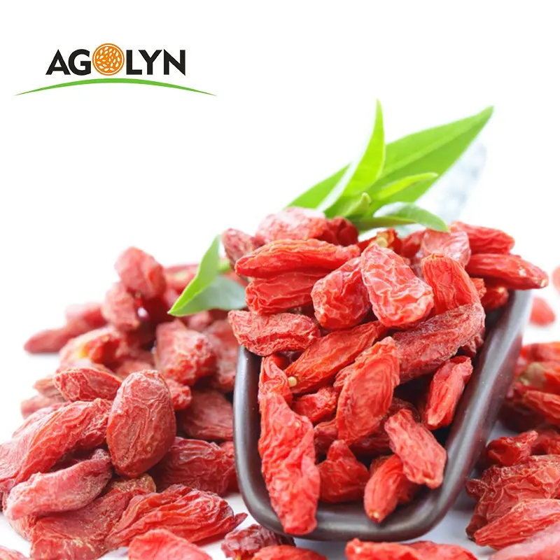 Chinese Ningxia new red Gojiberry with healthy food