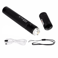Stylo pointeur laser zoomable en aluminium Rs 303 avec faisceau LED vert longue portée, rechargeable par USB, indice de protection IP65, idéal pour le camping et les présentations