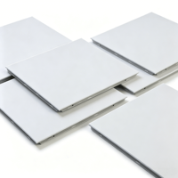 Promo Pabrik Sumber: Grid Plafon Aluminium Akustik Anti Api Berlubang untuk Hotel, Rumah Sakit, Ruang Pertemuan Asia Tengah, Peredam Kebisingan