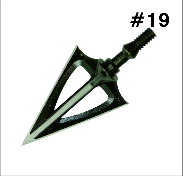 #19