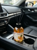 Diffuseur de parfum Nature Essence - Parfum de voiture longue durée