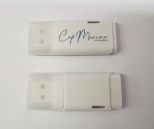 Bán buôn bán lẻ Vỉ đóng gói USB ổ đĩa flash với thương hiệu của bạn và gói vỉ USB Ổ đĩa ngón tay cái - Product Image 6