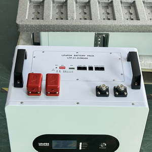 Pin <span class=keywords><strong>Lithium</strong></span> 10kwh 51.2V 300ah 15kwh điện tường LS Pin LiFePO4 năng lượng <span class=keywords><strong>Lithium</strong></span> lưu trữ năng lượng pin năng lượng mặt trời Bluetooth - Product Image 2