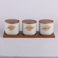 Service OEM & ODM Ensemble d'épices de cuisine en céramique 3 pièces avec couvercle en bois et cuillère