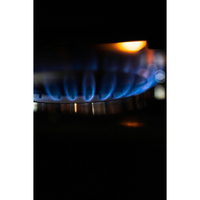 Four à gaz intégré de 24 pouces Appareils ménagers Four multifonction