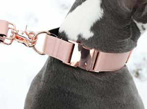 20mm Metal Accessories D <strong>Rings</strong> <strong>Adjustable</strong> Slide Quick Release Buckles Dog <strong>Clips</strong> for Dog Collar and Dog Leash - Product Image 5