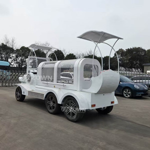 Meilleure Qualité Personnalisation Usine Roue Solide Électrique Tendance Couleur Personnalisée Garantie 2 Ans Transport Funéraire - Product Image 4