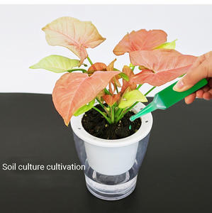 Kit de Solution nourrissante concentré de 35ml, 8 bouteilles, pour <span class=keywords><strong>bambou</strong></span>, pour fleurs, plantes en pot, à bas prix - Product Image 5