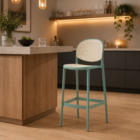 Tabourets de bar légers et luxueux à haut dossier, en rotin et plastique, pour café, bistrot, hôtel, salle à manger, comptoir de cuisine