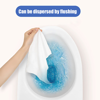 Lingettes humides pour toilettes biodégradables écologiques personnalisées de haute qualité à 99 % d'eau pure pour le nettoyage quotidien