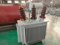 Transformador de Potencia Trifásico Sumergido en Aceite de 33kV 200kVA 300kVA 500kVA 630kVA, Reductor de Voltaje 400V 240V