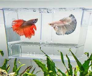 Caja de cría de aislamiento de peces de acuario para bebé <span class=keywords><strong>Guppy</strong></span> - Product Image 4