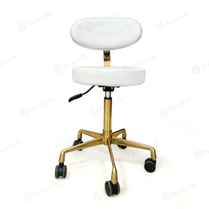 Fauteuil dentaire réglable Anteeth avec roulettes, tabouret mobile de barbier, chaise de salon, chaise de dentiste ergonomique sans accoudoirs, chaise de laboratoire - Product Image 2