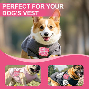 Maßgefertigte Chelline-Stickerei-Aufbügelpatches für Großhändler, Baseball-Anbieter für Stoff-PVC-Heißpressaufnäher für Kleidung und Hüte - Product Image 5