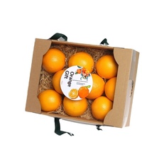 Vouwbare rechthoekige fruit- en groenteverpakking cadeaupapierdoos met handvat