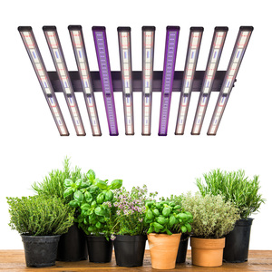 Lámpara LED de Cultivo de Espectro Completo Samsung LM301B de 800W con Diseño Delgado y Alto PPFD para Plantas de Interior, Ciclo de Floración y Cultivo en Invernadero - Product Image 1