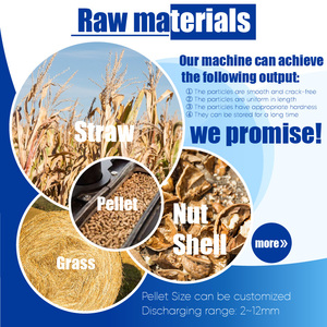 RICHI Custom ized 5-7t/h Gras Reis kleie Mais stiel Erdnuss schalen Biomasse Pellet Linie - Product Image 2