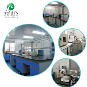 Source Factory Oenothera Biennis aceite de semilla Erythrosepala Borb polvo Extracto de onagra - Product Image 5