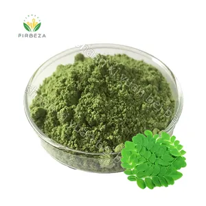 Bulk 100% puro naturale organico prezzo all'ingrosso 10:1 estratto di foglie di Moringa Oleifera in polvere