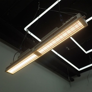 Lampes de culture LED à spectre complet 650W, optimisées PTU pour la croissance hydroponique des choux et de la laitue, à haute efficacité énergétique - Product Image 1