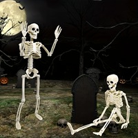 Crâne Articulé de Simulation pour Halloween, Squelette en Plastique Mobile, Décorations pour Fêtes d'Halloween et Maisons Hantées, Intérieur/Extérieur