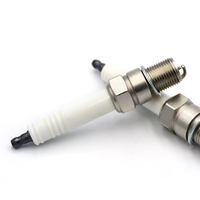 Bougies d'allumage Pièces de moteur 3016663 479 7702 pour 76.64.291/76.64.293/76.64.292/76.64.761