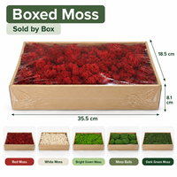 Mousse de renne stabilisée en boîte, mousse éternelle naturelle pour mur végétal, micro-paysage, arrangement floral, décoration artisanale DIY