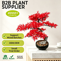 Bonsai Maple Hijau Buatan 50cm Pohon Acer Jepang Palsu Ramah Lingkungan Tahan UV untuk Meja Resepsi Lobi Hotel Rak