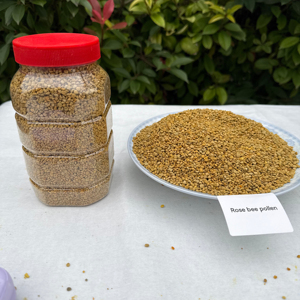 Polen de Abeja al por Mayor, Grado Alimenticio, Suministro a Granel con Empaque Estándar a Precio Competitivo, Polen de Abeja Natural Orgánico - Product Image 3