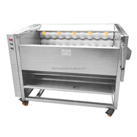 SUS304 Motor aangedreven wortelgroente- en fruitwas- en schilmachine met waterreinigingsrolborstel voor de verwerking van aardappel, gember en radijs
