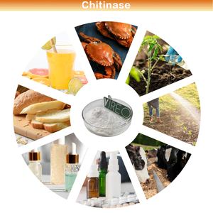 食品级高活性壳聚酶酶健康补充剂原料厂家直销 - Product Image 3