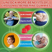 Gummies Liposomales de Berbérine OEM – Complément de Berbérine HCL et Curcuma avec Cannelle de Ceylan et Melon Amer pour la Santé Hépatique