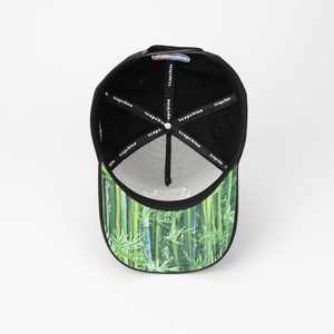 Casquettes de baseball à visière incurvée personnalisées TCAP Chine, broderie personnalisée, casquettes de sport sur mesure - Product Image 4