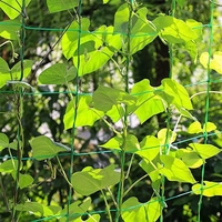 Filet de treillis concombre amer melon poly jiangsu filet de treillis de jardin pp support filet de plante