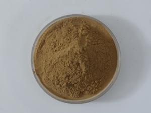 <span class=keywords><strong>Amla</strong></span> ekstresi tozu <span class=keywords><strong>Amla</strong></span> gıda sınıfı toz <span class=keywords><strong>Amla</strong></span> meyve tozu - Product Image 2