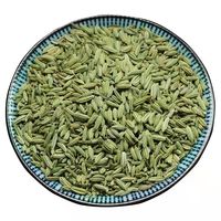 Bumbu dan Herbal Grosir Produk Laris Manis Biji Adas Kualitas Tinggi Biji Adas Kering