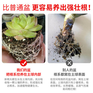 Juego de Macetas para Suculentas Qinfeng, Maceta de Plástico Blanca de 8 cm para Escritorio, Jardinería en Casa, Transpirable, Resistente y Duradera - Product Image 5