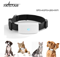 Promo Terbatas Pelacak GPS Kucing Mini TK911 Tahan Air dengan Baterai Tahan Lama dan Aplikasi Pelacakan Android/iOS Gratis