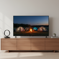 ODM/OEM/OBM HD 4K Innen-Digital-TV-Antenne mit Hoher Verstärkung 28dB Kunststoff ANTOP Fabrik Großhandel