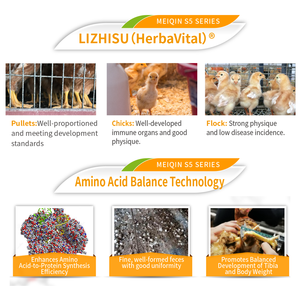 Thức ăn hỗn hợp bổ sung cho gà đẻ trứng, bổ sung Phốt pho dễ hấp thụ hơn, <span class=keywords><strong>Vitamin</strong></span> tổng hợp cho gà mái đẻ - Product Image 4