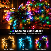 Vente en gros d'usine, bande lumineuse de Noël à pixels adressables DC 5V 12V, étanche IP68, 12 mm, module LED WS2811, points lumineux à pixels